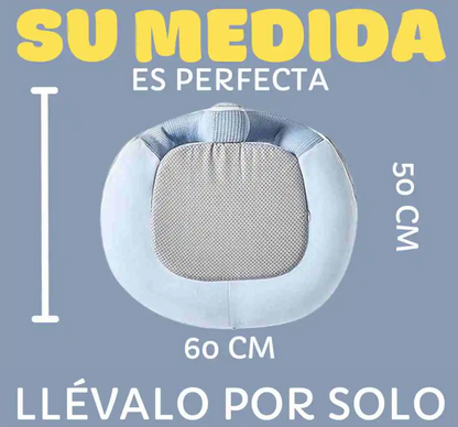 Asiento Entrenador para Bebé