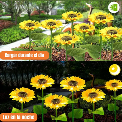 Sun Bloom® -Faroles de Girasol para Jardín (Pack 2 Unidades)