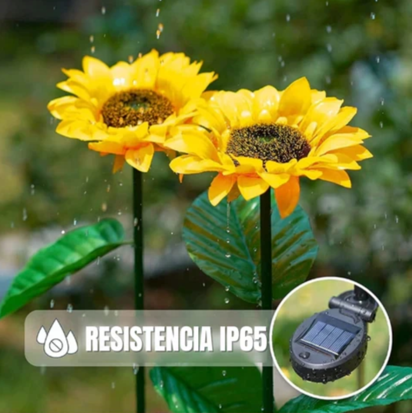 Sun Bloom® -Faroles de Girasol para Jardín (Pack 2 Unidades)
