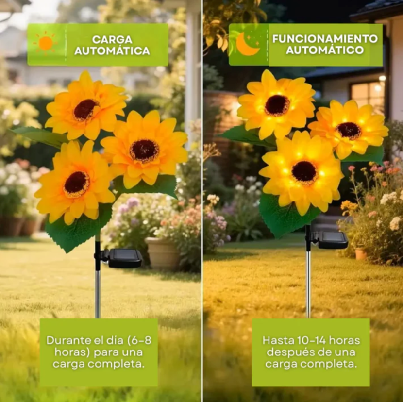 Sun Bloom® -Faroles de Girasol para Jardín (Pack 2 Unidades)