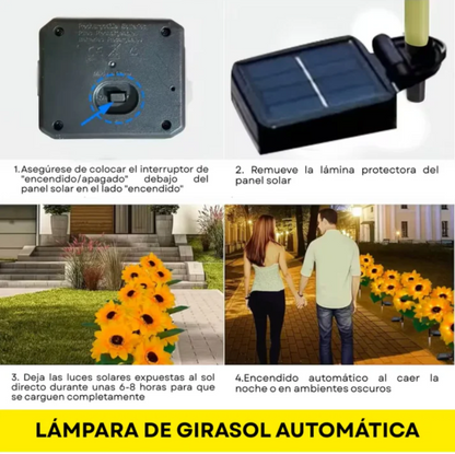 Sun Bloom® -Faroles de Girasol para Jardín (Pack 2 Unidades)