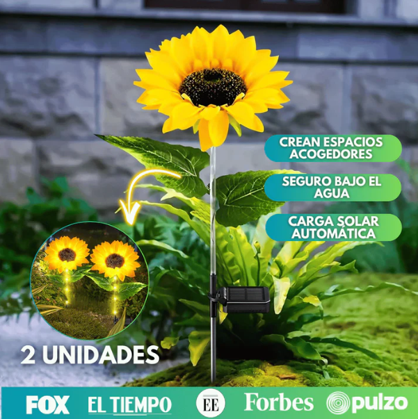 Sun Bloom® -Faroles de Girasol para Jardín (Pack 2 Unidades)